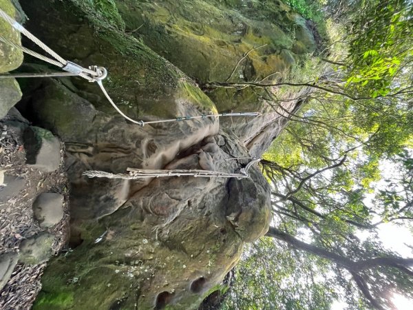 20230916_五寮尖2762645