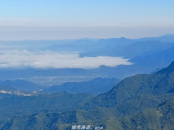 【南投。竹山】茶園竹林巨木櫻花景緻很美(四連峰)。 小百岳集起來。 編號54小百岳金柑樹山1624808