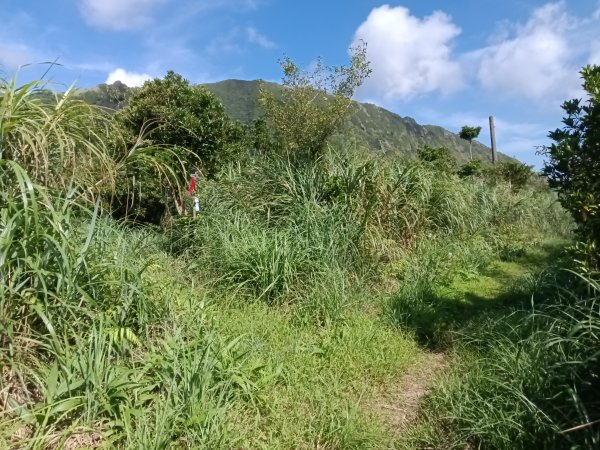 瑞芳區驚險驚嚇+短暫迷途的半屏大瀑布(瀑布稜)+小錐麓古道2886042