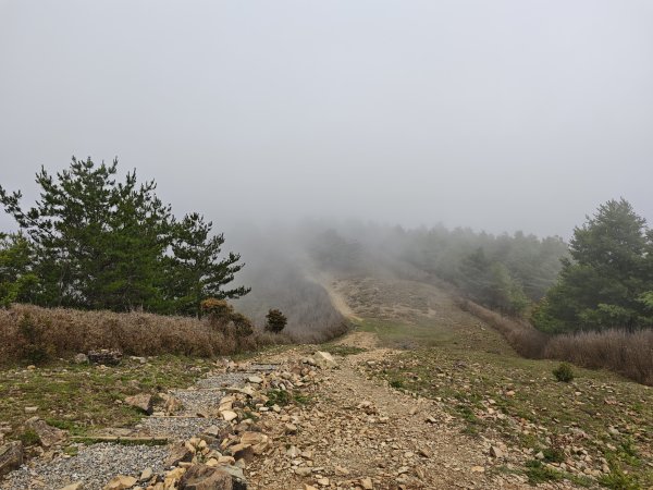 [山海圳_聖山之路_第二段3/4] 2026_0802 麟趾山3109262