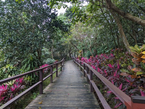 2024-01-28 福州山公園2793289