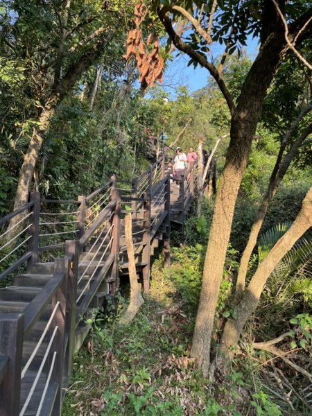 大坑9-1號步道2732232