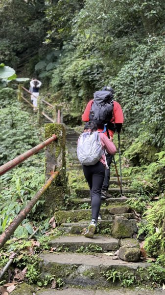 20250404銀河洞越嶺登山步道2752999