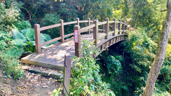 龍麟山登山步道2730751