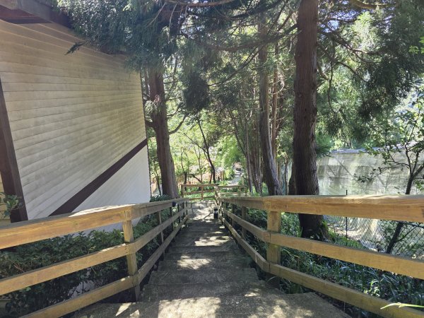 [皮皮獅探險隊-09/10] 2025_0816 野馬瞰山步道2862672