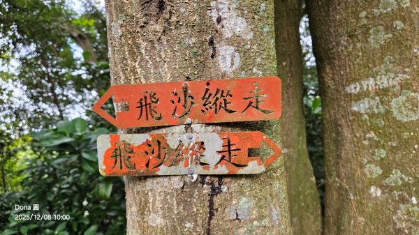 20251208雞寮坑山南稜線O走+鹿寮坑濕地賞景採果2969020