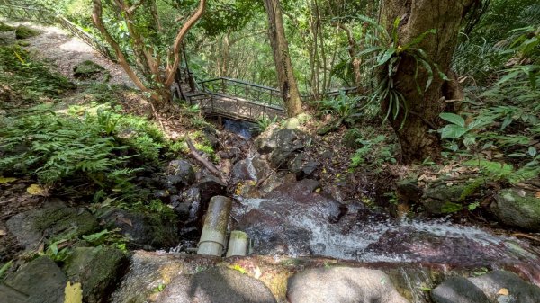 114.06.01溪山百年古圳-太平尾山+聖人崙之旅2801840