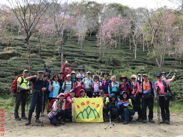 三竹縱走：三腳南山、難山、梅峰、竹子尖山（綠色長城東段）第三天