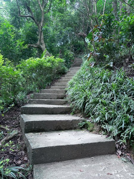 大棟山系第一段、第二段一起走2857251