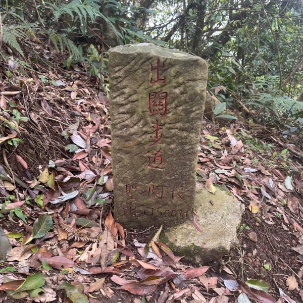 20250407_關刀山步道（苗栗小百岳）2855751