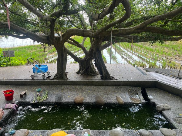 霄裡好風光，運動樂悠遊！2854807