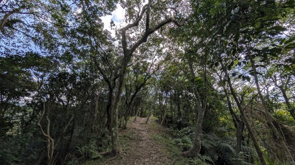 114.12.07筆架連峰之旅2957039