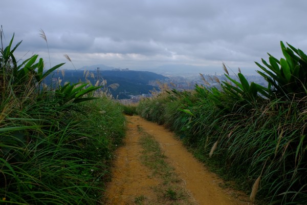 三角埔頂山237427