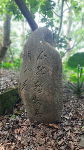 《台中》悠然雅緻｜后里毘盧禪寺小O精華步道202504042752320
