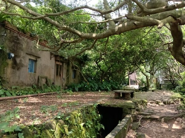 瑞芳區南子吝步道+南子吝稜+南子吝山+南子吝步道P字走2798453