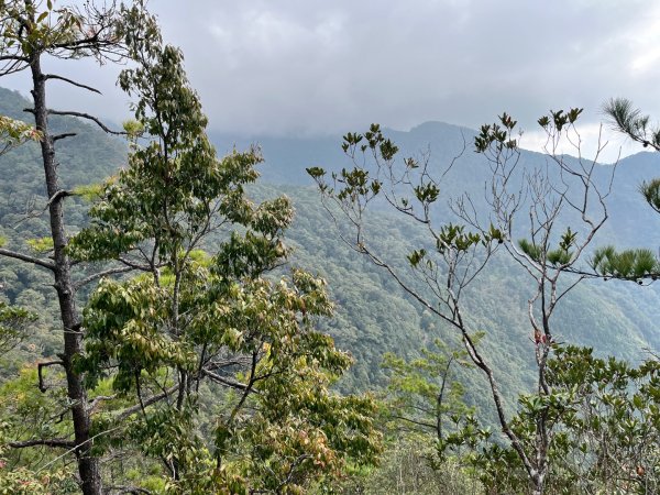 20260124_鳶嘴山（台中小百岳）3102232