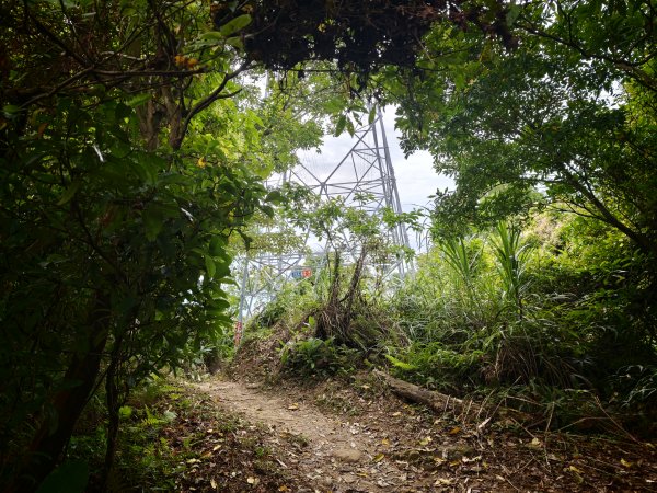 [淡蘭古道] 2026_0523 南路第一段_中埔山步道3069392