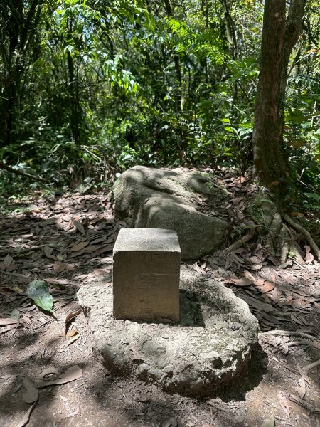 台北大縱走第四段2766858