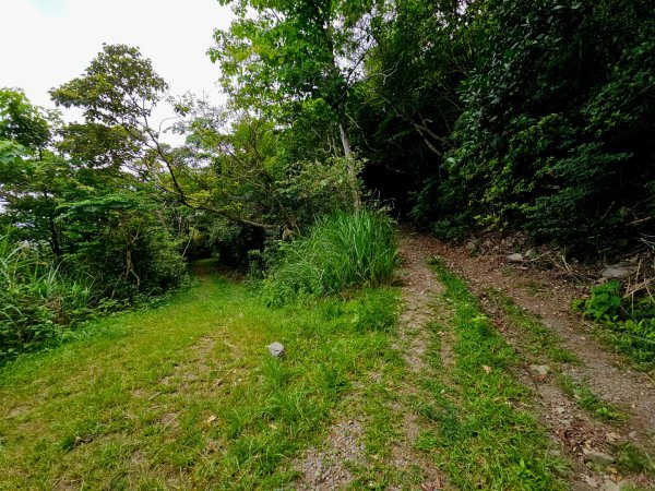 加奈美山-小百岳#95-台東縣大武鄉2776995