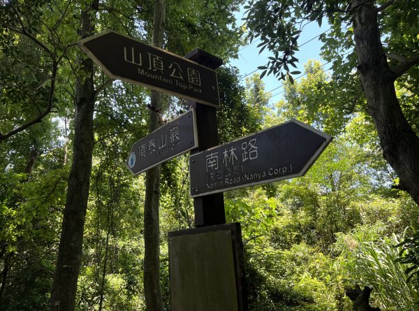 [跟著2025雙北世壯運探索雙北市-7/21] 2025_0615 疾風足球道（輔仁大學－明志路二段2814981