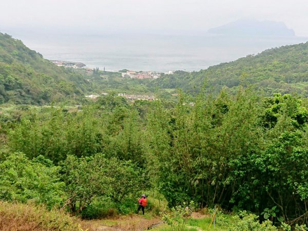 璀璨百年淡蘭古道～象寮古道、石空山、坪溪古道、梗枋古道O走1339455