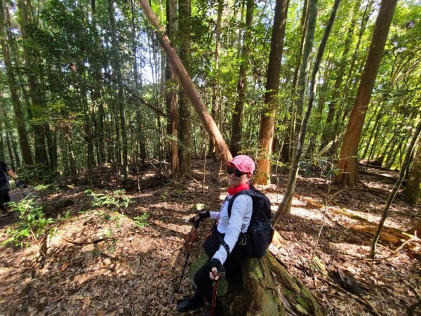 谷關七雄八仙山、加保台山1890621