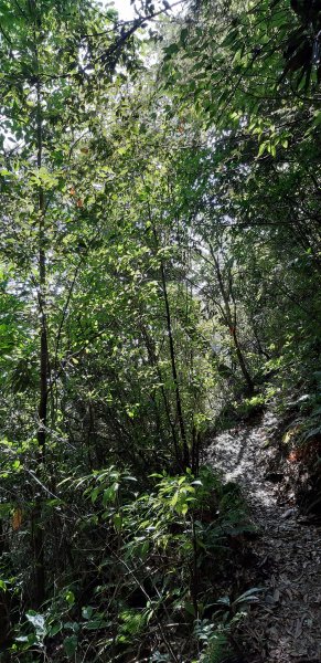 白姑大山之旅743397