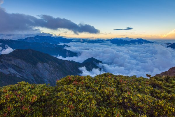 奇萊北壁下屏風山1010528