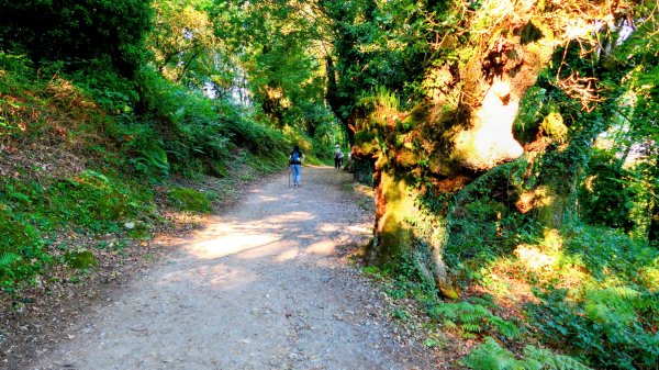 西班牙朝聖法國之路115KM, Day13125599