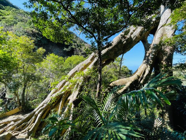 1150123里龍山2986675