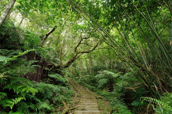 臺北 南港 南港山、拇指山、象、獅、豹、虎、四分里山、茅草埔山2803417