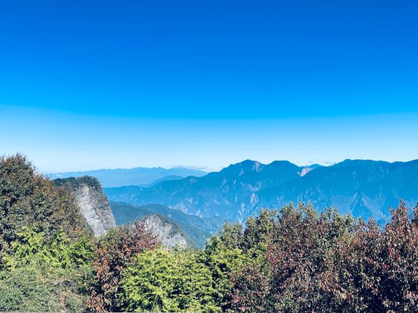 20251209 阿里山-小笠原觀景平台、祝山觀日步道2959802