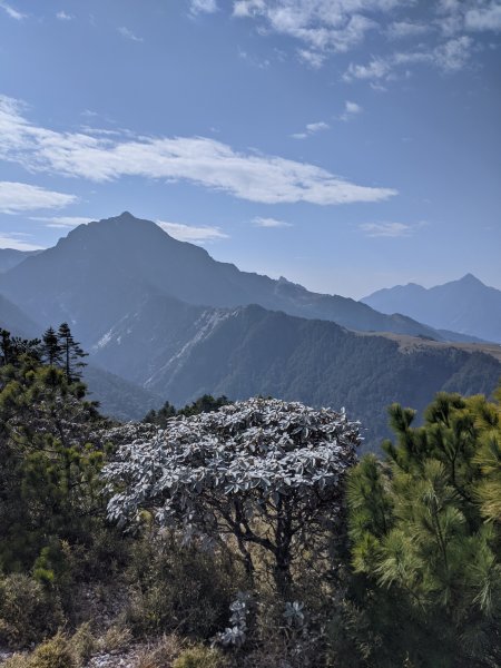 【2021 登山植物學】1609432