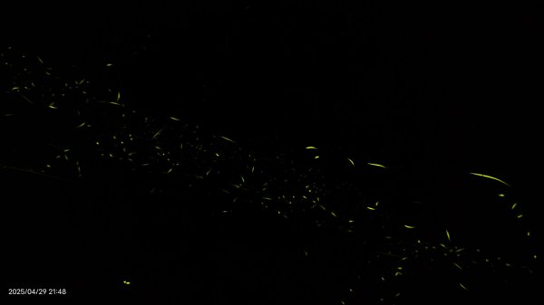 翡翠水庫壩頂 #火燒雲雲海 #日出雲海 #鱷魚島 #藍腹鷴 4/292773445