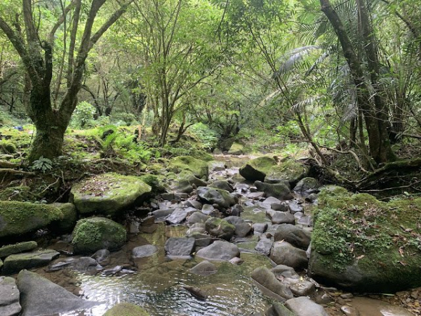 平溪子山、畝畝山、石硿子瀑布、灰窯瀑布(望古車站)