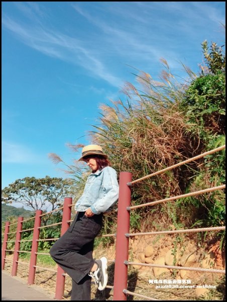 賞芒秘境秀才登山步道1157411