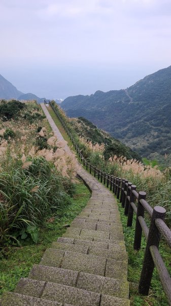 2021-1230 百二崁、燦光寮、貂山古道、地質公園步道O型1565516