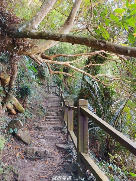 【台南。東山】 適合親子悠遊行。 小百岳集起來。 編號64小百岳-崁頭山步道1558962