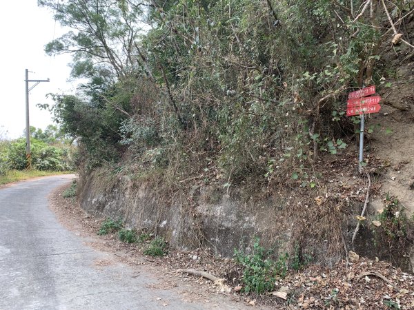 20250404屏東北獅子頭山-霧里乙山2757399