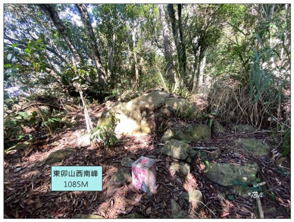 東卯山、東卯山西峰、東卯山西南峰 連走2932840