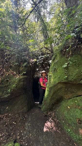 孝子山、普陀山、慈母峰賞鹿子野百合O走2592938
