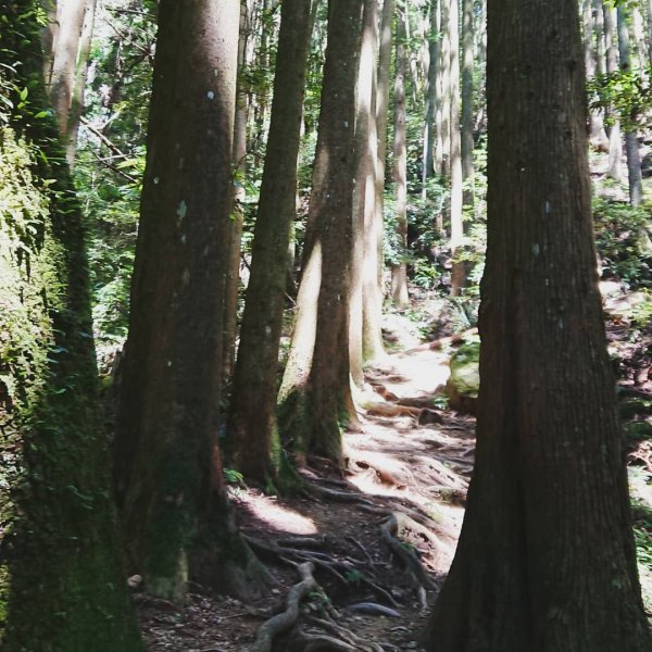 加里山202007051026591