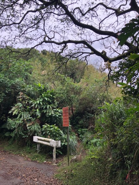 基隆市中正區小百岳槓子寮山二等三角點N O.11681515032