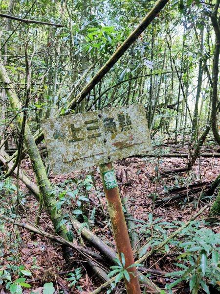 鳳凰山-隆田登山口1760460