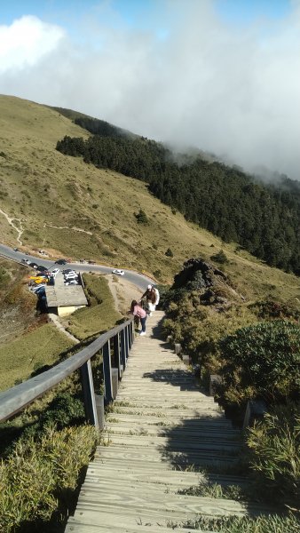 2020.11.28合歡尖山步道之旅1410876