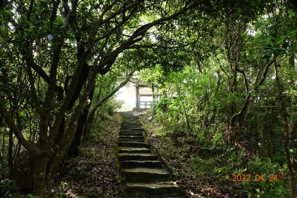 臺北 內湖 鯉魚山1687080