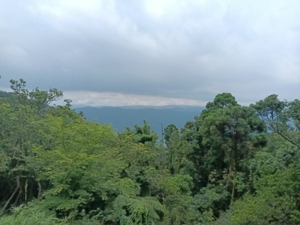基隆市荖寮坑古道+十分古道(暖東舊道)+頂子寮山(嶺頭土地公)P字走2821569
