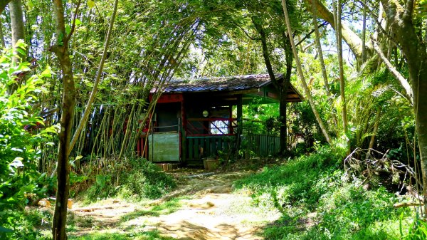 微笑山線烘爐地土地公段2860648