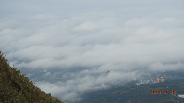 陽明山再見雲海，天空之城 ? 水淹金山寺 ? 3/202079987