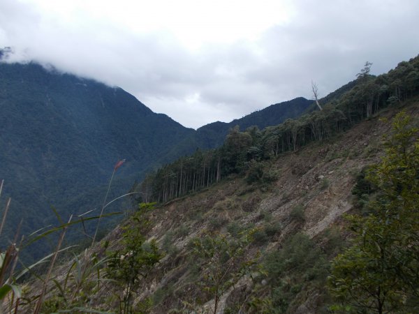 治茆山,治茆山南峰,巒山堂691181